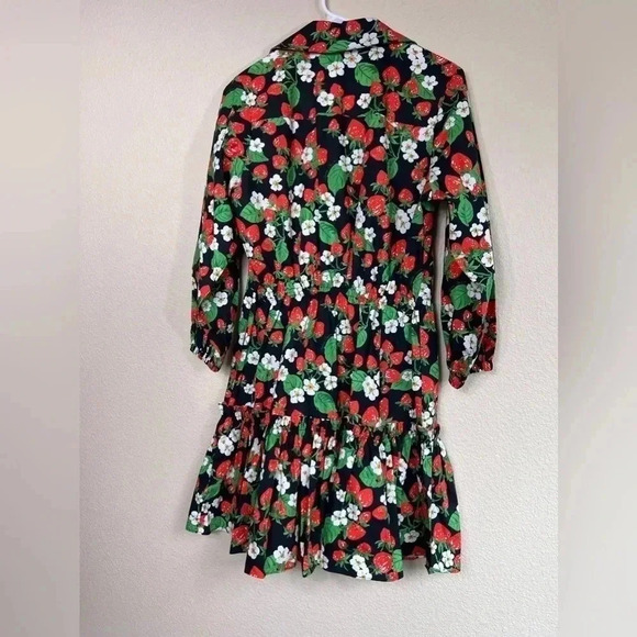Cara Cara Robin Floral Mini Dress Womens Size XS Wild Black Strawberry - Picture 7 of 12